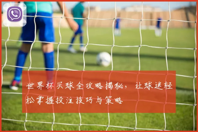世界杯买球全攻略揭秘，让球迷轻松掌握投注技巧与策略