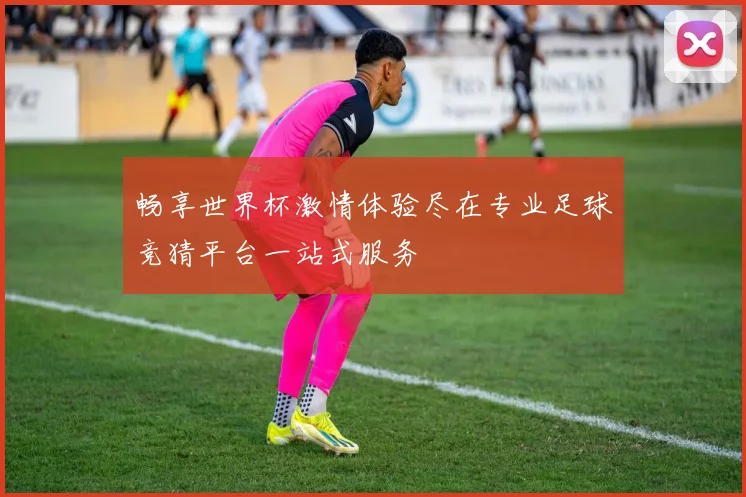 畅享世界杯激情体验尽在专业足球竞猜平台一站式服务