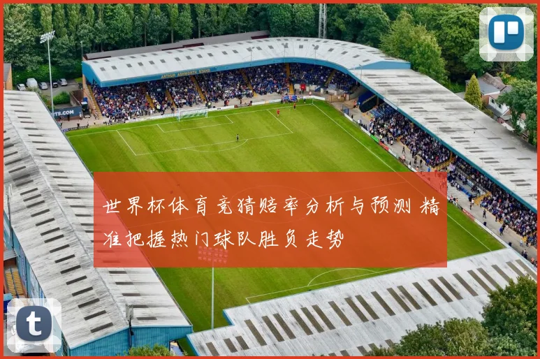 世界杯体育竞猜赔率分析与预测 精准把握热门球队胜负走势