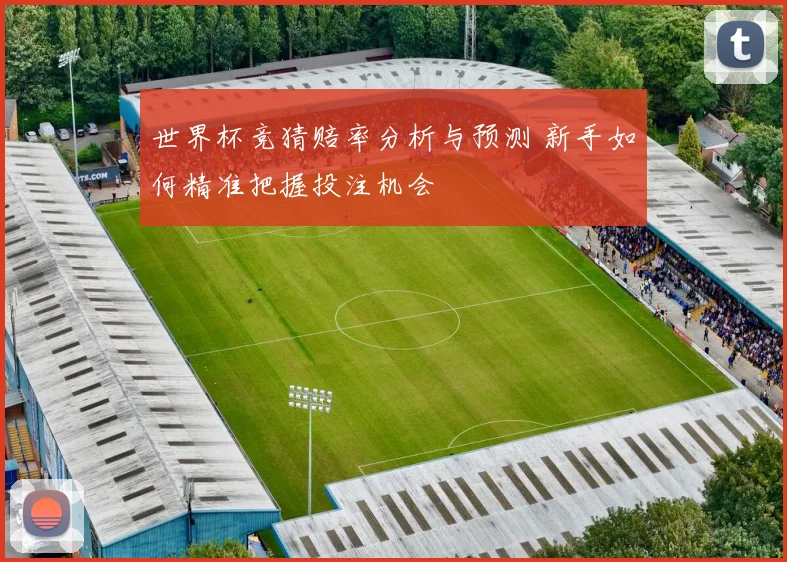 世界杯竞猜赔率分析与预测 新手如何精准把握投注机会